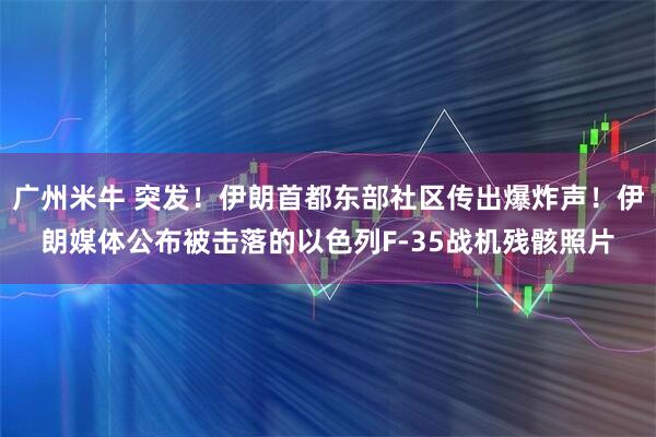 广州米牛 突发！伊朗首都东部社区传出爆炸声！伊朗媒体公布被击落的以色列F-35战机残骸照片