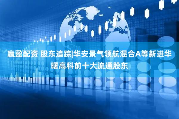 赢盈配资 股东追踪|华安景气领航混合A等新进华曙高科前十大流通股东