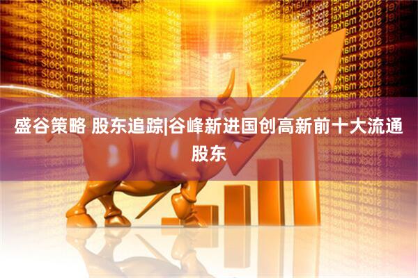 盛谷策略 股东追踪|谷峰新进国创高新前十大流通股东